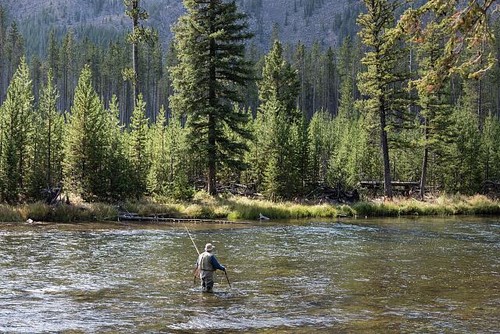 Yellowstone parco nazionale - yellowstone,