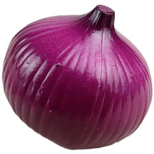 Modello in plastica cipolla