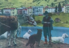 o566 cartolina carona poesia alpestre al lago alta val brembana bergamo