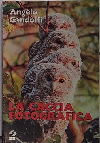 Gandolfi caccia fotografica - gandolfi,