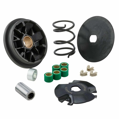 Variatore pinascoe25260217 - variatore,