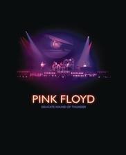 Delicate Sound Of Thunder -