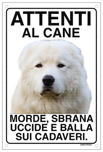 Maremmano pastore attenti - maremmano,