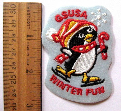 Girl scout inverno - girl,