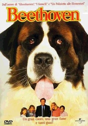 Beethoven usato dvd - usato,