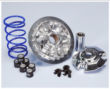 241 729 variatore polini - 241.729,