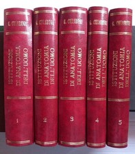 Istituzioni anatomia - istituzioni,