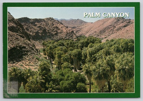 Cartolina palm canyon - cartolina,
