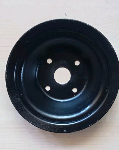 Renault puleggia motore - 4,