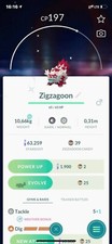 Shiny Zigzagoon Galar Galarian