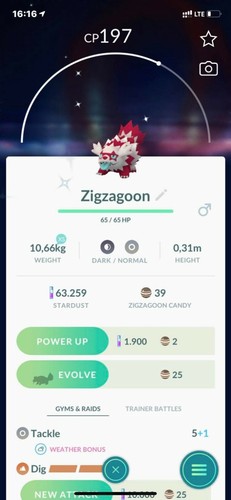 Shiny zigzagoon galar galarian - galar,