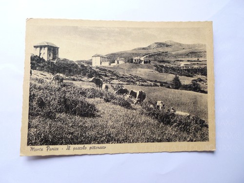 Vecchia foto cartolina - ,