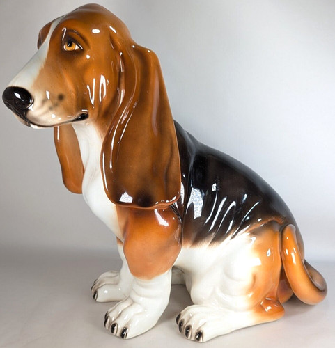Basset cane italia anni - italia,