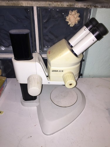 Microscopio binoculare leica - microscopio,