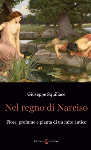 Nel regno narciso fiore - nel,