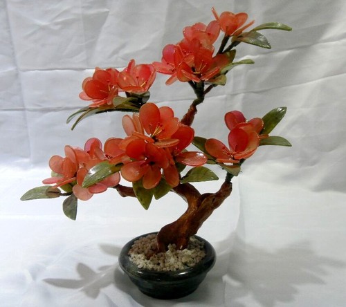 Bonsai giada cinese fiore - giada,