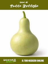 10 Semi di 🌿 Semi di Zucca