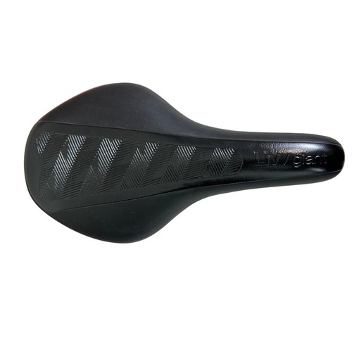 bicicletta esperia donna