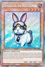 Coniglio da Soccorso - Rara