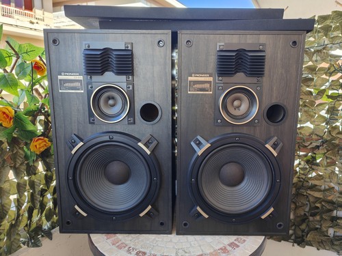 Pioneer 970 coppia - pioneer, cs-970