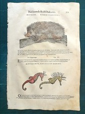 MATTIOLI MATTHIOLI Erbario a