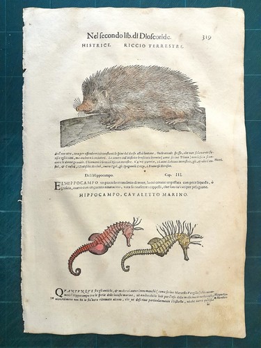 Mattioli matthioli erbario - mattioli,