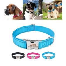 Collare cane personalizzato