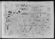 Ricerche,generazioni dites