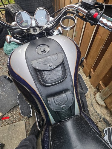 Triumph rocket tank bib 2 - tank, /
