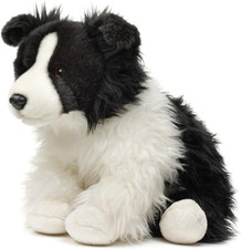 - Border Collie Bianco E Nero