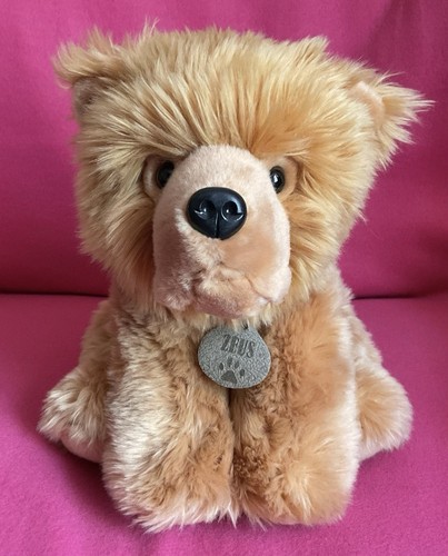 Chiglia zeus chow tipo - chow,