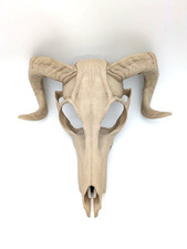 Teschio Wendigo bianco osso