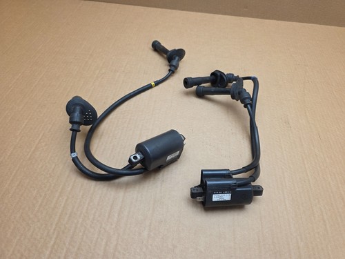 Bobine accensione suzuki - bobine,