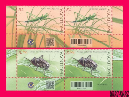 Moldavia 2024 natura fauna - 2024,