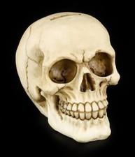 Salvadanaio Teschio - Risata