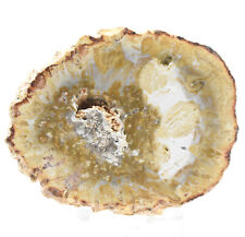 2 " Giallo Blu Legno