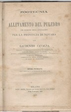 Allevamento del Puledro. 
