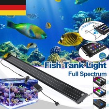 Illuminazione LED per acquario