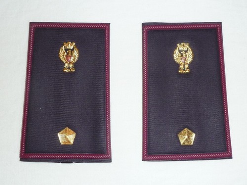 Vice ispettore polizia stato - ispettore,