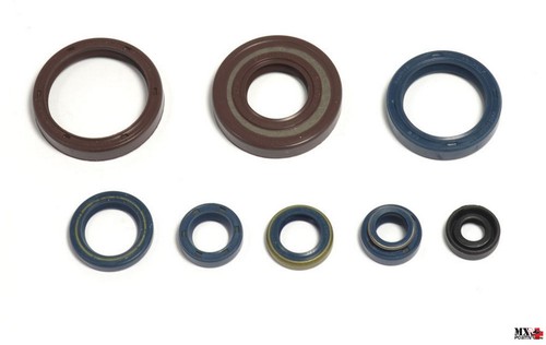 Kit paraoli motore husqvarna - paraoli,