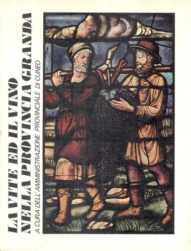 Vite vino nella - vite, e