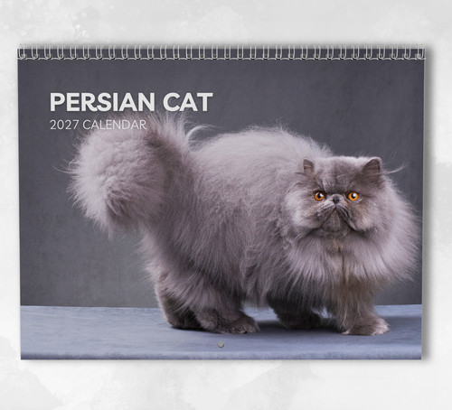 Calendario gatto persiano