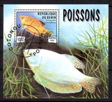 Pesci benin blocco - benin,