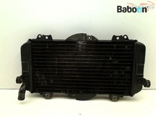 Radiatore Yamaha FZR 600