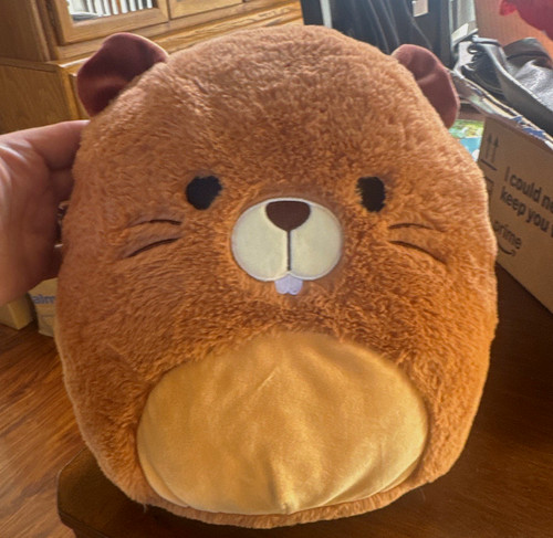 Peluche castoro piccolo - peluche,