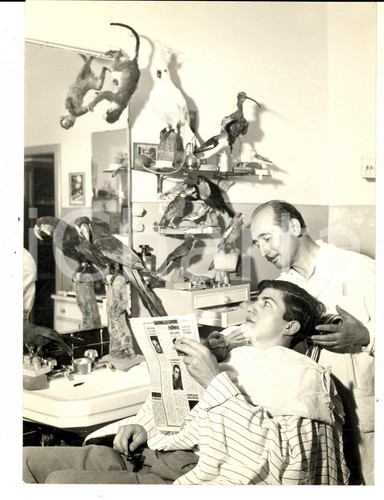 1960 bologna barbiere - ca,