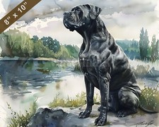 Quadro acquerello Cane Corso