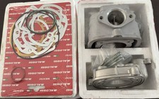 3113030 CILINDRO MALOSSI MHR