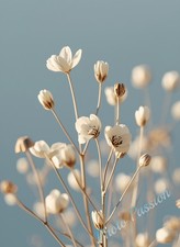 Poster A4 Art Scandinavo Beige