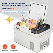 Frigorifero a Compressore 28L per Auto Campeggio Funzione Congelatore ±20°C APP 12/24V